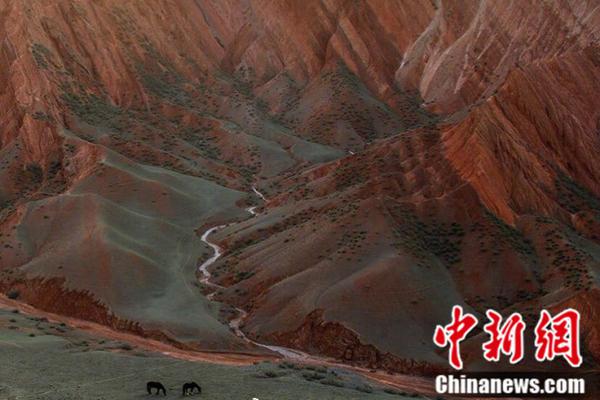 吸血鬼崛起怎么吸血