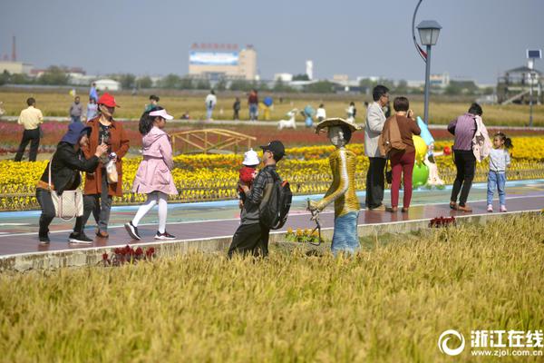 双点校园自动贩卖机放什么地方比较好