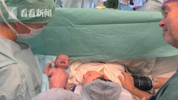 背包英雄全构造物有哪些