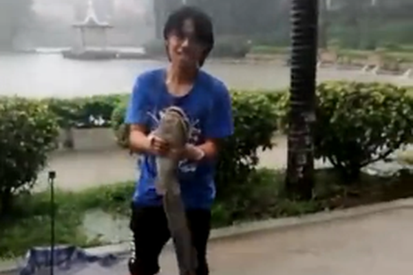 吸血鬼幸存者法杖有什么用