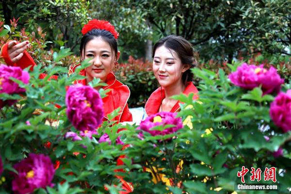 天命奇御2白虎爪怎么获取